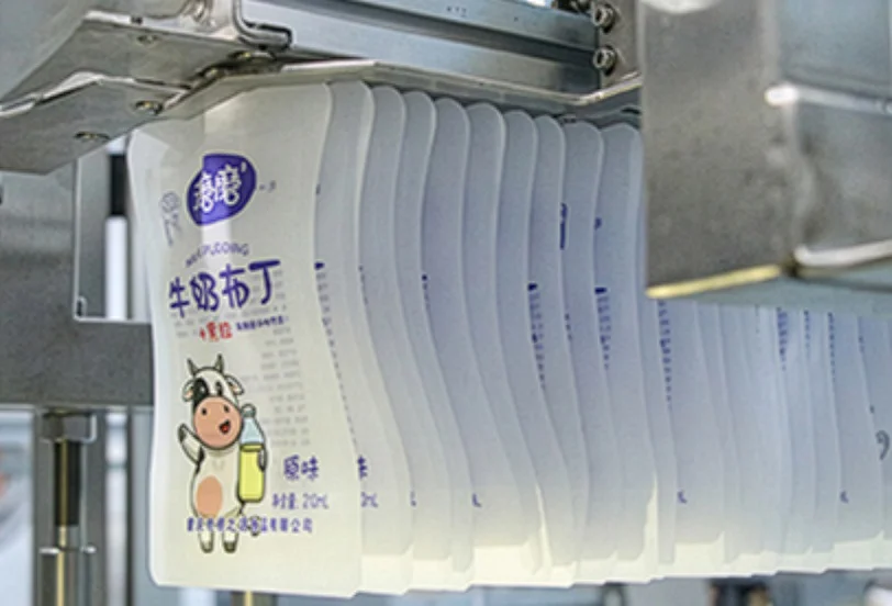 SW-CCS6上的自动吸嘴袋进料托盘，用于连续作业的堆叠和分度输送