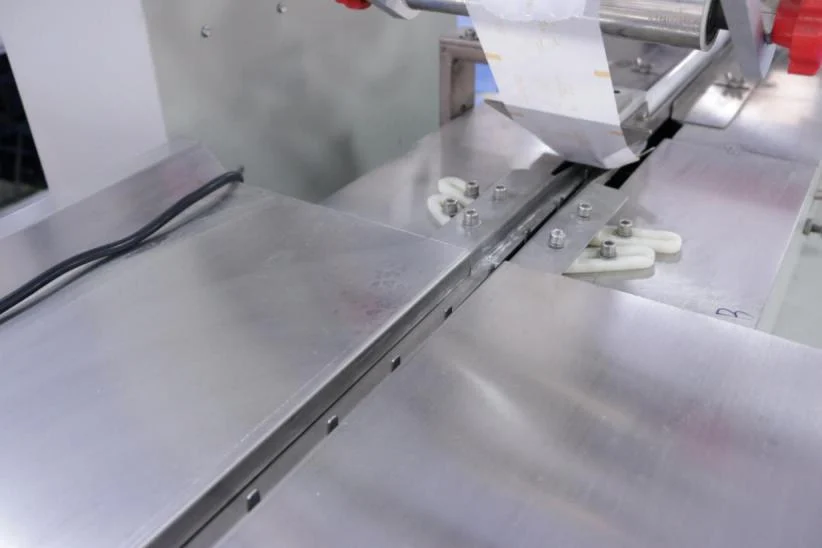 Infeed conveyor chain detail shared between SW-1000A and SW-1000B